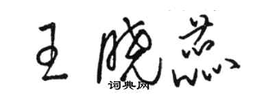 駱恆光王曉蕊草書個性簽名怎么寫