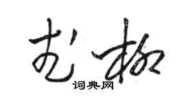 駱恆光武柳草書個性簽名怎么寫