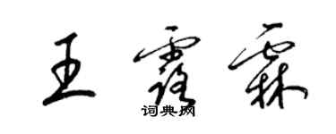 梁錦英王露霖草書個性簽名怎么寫