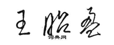 駱恆光王昭盈草書個性簽名怎么寫