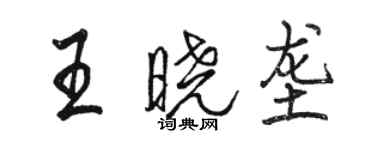 駱恆光王曉壟行書個性簽名怎么寫