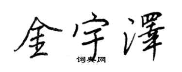 王正良金宇澤行書個性簽名怎么寫