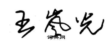 朱錫榮王嵐光草書個性簽名怎么寫