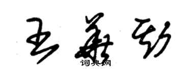 朱錫榮王華斯草書個性簽名怎么寫