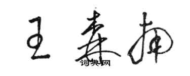 駱恆光王森南草書個性簽名怎么寫