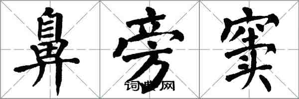 翁闓運鼻旁竇楷書怎么寫