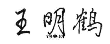 駱恆光王明鶴行書個性簽名怎么寫