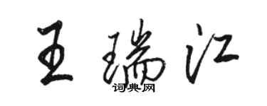 駱恆光王瑞江行書個性簽名怎么寫