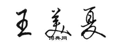 駱恆光王美夏行書個性簽名怎么寫