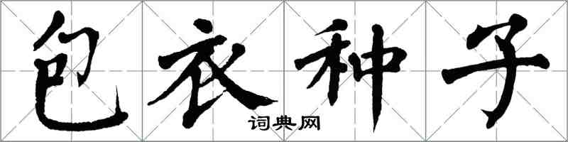 翁闓運包衣種子楷書怎么寫