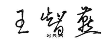 駱恆光王智燕草書個性簽名怎么寫