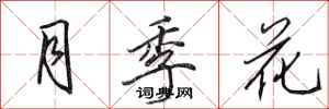 田英章月季花行書怎么寫