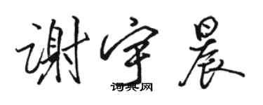 駱恆光謝宇晨行書個性簽名怎么寫