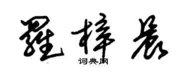 朱錫榮羅梓晨草書個性簽名怎么寫