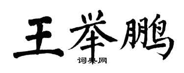 翁闓運王舉鵬楷書個性簽名怎么寫