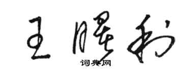 駱恆光王曙利草書個性簽名怎么寫