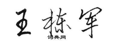 駱恆光王棟軍行書個性簽名怎么寫