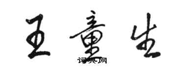 駱恆光王童生行書個性簽名怎么寫