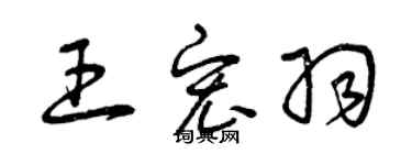 曾慶福王宏羽草書個性簽名怎么寫