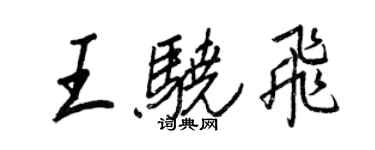 王正良王驍飛行書個性簽名怎么寫