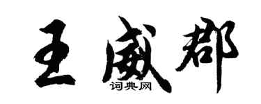 胡問遂王威郡行書個性簽名怎么寫