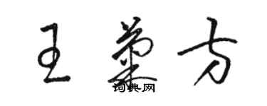 駱恆光王菊方草書個性簽名怎么寫