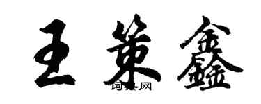 胡問遂王策鑫行書個性簽名怎么寫