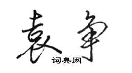 駱恆光袁爭行書個性簽名怎么寫