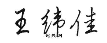 駱恆光王緯佳行書個性簽名怎么寫