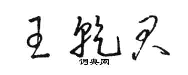 駱恆光王乾君草書個性簽名怎么寫