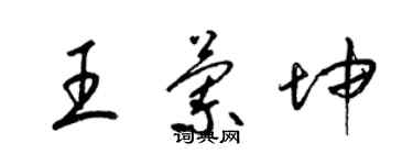 梁錦英王蘭坤草書個性簽名怎么寫