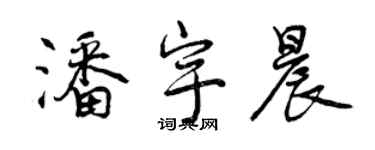 曾慶福潘宇晨行書個性簽名怎么寫