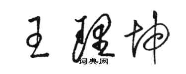 駱恆光王理坤草書個性簽名怎么寫