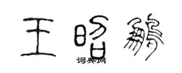 陳聲遠王昭鵬篆書個性簽名怎么寫