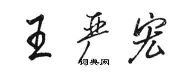 駱恆光王嚴宏行書個性簽名怎么寫