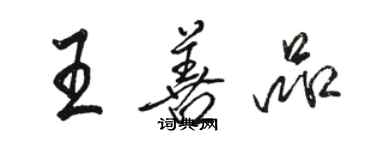 駱恆光王善品行書個性簽名怎么寫