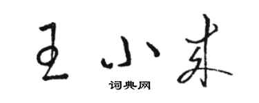 駱恆光王小來草書個性簽名怎么寫