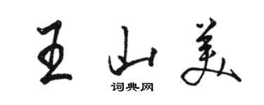 駱恆光王山美行書個性簽名怎么寫