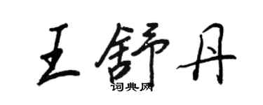 王正良王舒丹行書個性簽名怎么寫