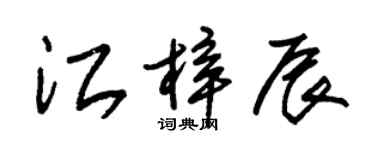 朱錫榮江梓辰草書個性簽名怎么寫