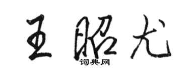 駱恆光王昭尤行書個性簽名怎么寫