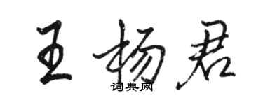 駱恆光王楊君行書個性簽名怎么寫