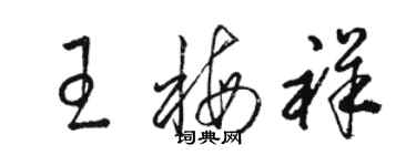 駱恆光王梅祥草書個性簽名怎么寫