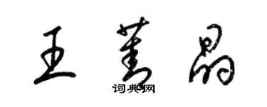 梁錦英王菁晶草書個性簽名怎么寫