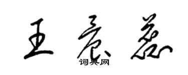 梁錦英王晨蕊草書個性簽名怎么寫