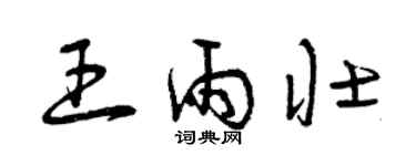 曾慶福王雨壯草書個性簽名怎么寫