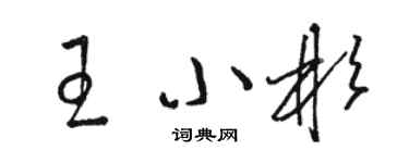 駱恆光王小彬草書個性簽名怎么寫