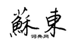 王正良蘇東行書個性簽名怎么寫