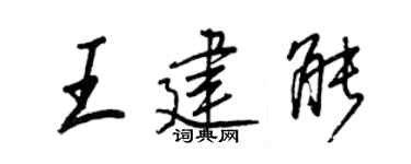 王正良王建能行書個性簽名怎么寫