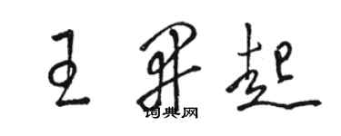 駱恆光王開起草書個性簽名怎么寫